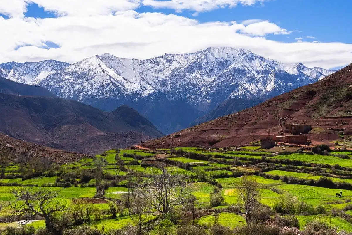 Atlas Mountains Tours From Marrakech