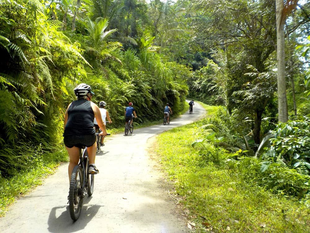Mountain biking tours in Nature Atlas