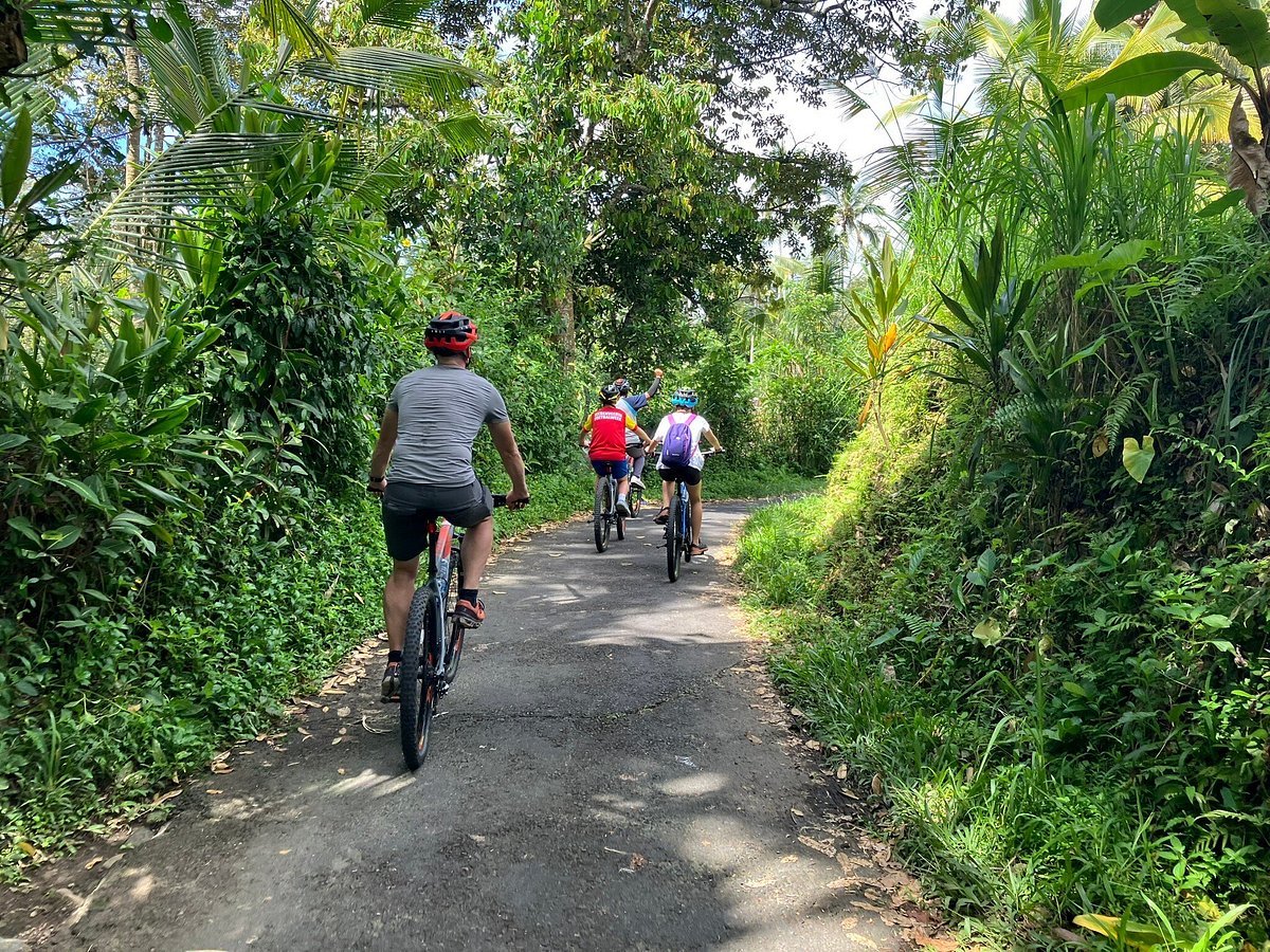 Mountain biking tours in Nature